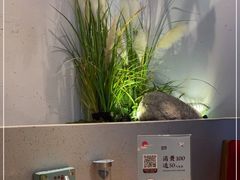 -蜜桃餐厅·伴山(绿宝广场店)