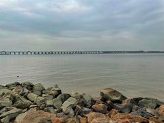 -宝安西湾红树林湿地公园