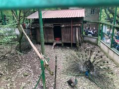 -藏龙百瀑风景区