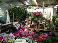 -沪花拾者(好再来花卉鲜花店)