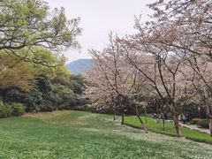 -中国茶叶博物馆(双峰馆区)