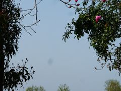 -中国天府农业博览园