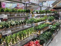 -鹿岛生活(熙地港店)