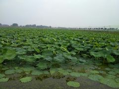 -万达影城(淮安水渡口万达广场IMAX激光店)