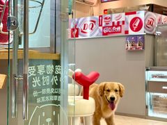 -DQ·蛋糕·冰淇淋(三亚青春颂店)