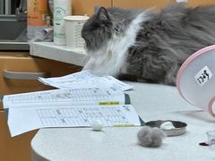 -联合动物医院(光谷诊疗中心)