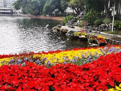 -荔湾湖公园