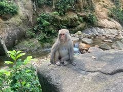 -姑婆山旅游区