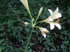 -镇江市南山风景名胜区竹林景区