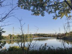 -昆山城市生态森林公园