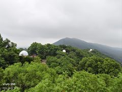 -紫金山天文台