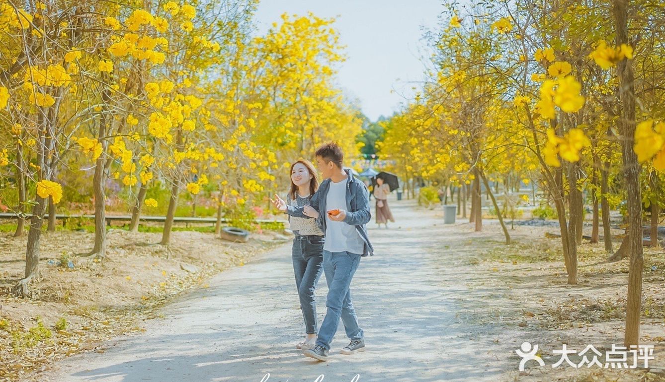 惠州周边游｜春节快乐的好去处[调皮]