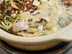 石锅鱼-黑河坝泡姜鸡贡椒鱼(贾旗路店)