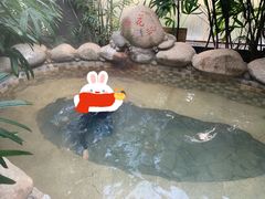 -三江森林温泉度假区