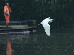 -新江湾城公园