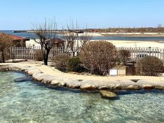 -营口金泰珑悦海景大酒店