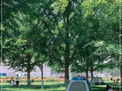 -中华世纪坛-停车场