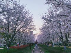 -新天地活力PARK