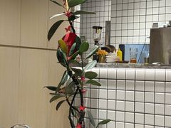 -樂麗餐室 · 本地茶餐廳(扬名广场店)