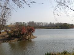 -东郊湿地公园