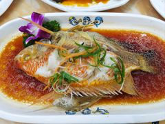 清蒸红宝石鱼-小海豚•老字号海鲜餐厅(天涯店)