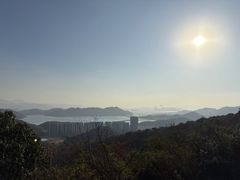 -黄贤森林公园