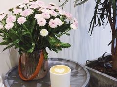 -red donkey coffee