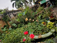 -园林美食城·本土农家菜(杨和镇店)