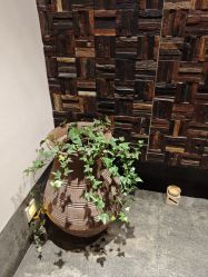-禾颜社·精致美容