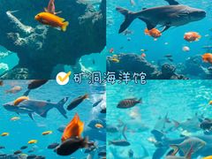 -长鹿旅游休博园