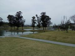 -两河城市森林公园