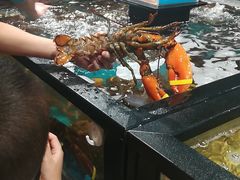 -盒马鲜生(曜一城店)