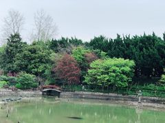-嘉定紫藤园