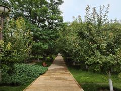 -元大都城垣遗址公园