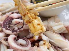 白灼鲜鱿-醉贤居