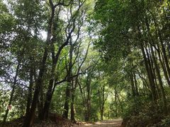 -广州市帽峰山景区