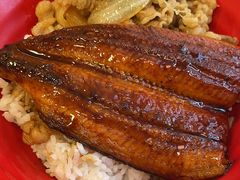 -食其家·牛丼咖喱(广元西路店)