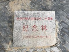 -北京鹫峰国家森林公园