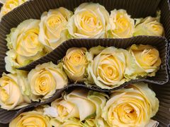 -三旗百汇商品城