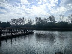 -溱湖国家湿地公园