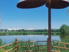 -白渔泡湿地公园
