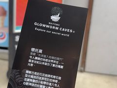 -怀托摩萤火虫洞