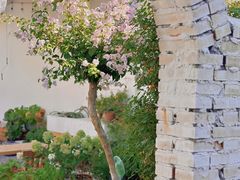 -AHAVA·Fang Baking Studio