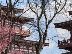 -七曲山风景区