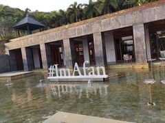 -日落吧·海景咖啡厅·餐酒吧·鸡尾酒·下午茶·乐队表演·浪漫夕阳·三亚文华东方酒店