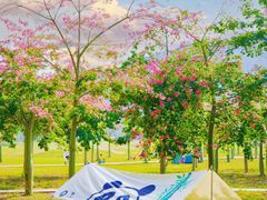 -风云岭森林公园