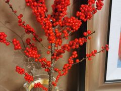 -双季花艺园艺市场(浦东店)