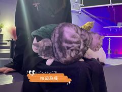 -极木²邸 人与宠物·互动社区