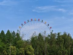 -洋湖国家湿地公园