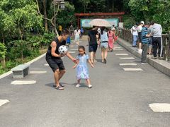 -滴水岩森林公园